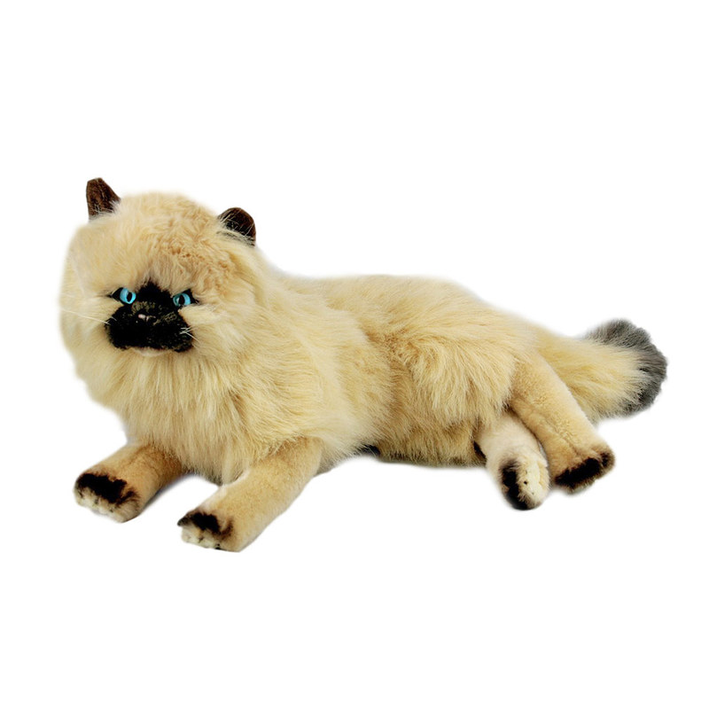 kitten soft toys