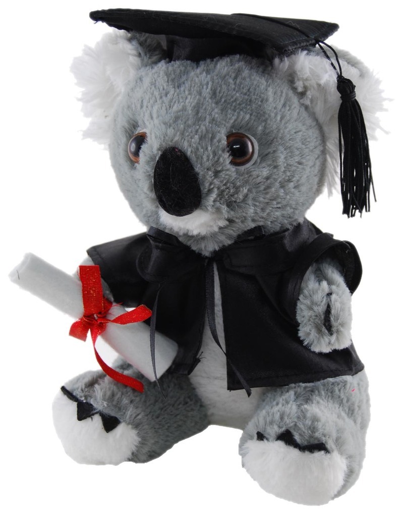 graduation stuffed animal