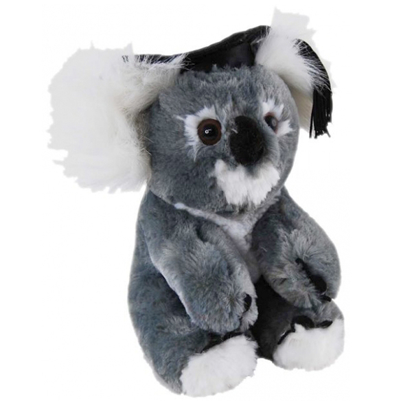 graduation plush animals