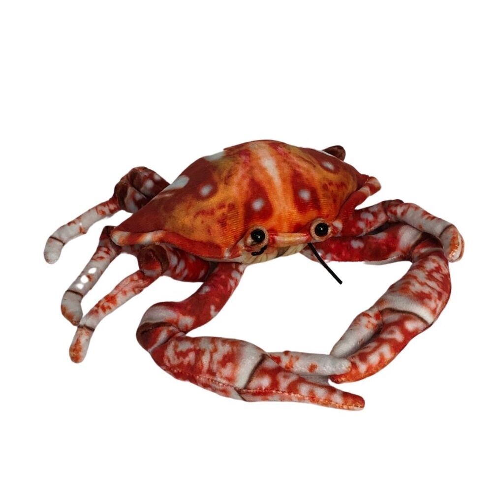 Crabby the Crab Soft Plush Toy - Huggable