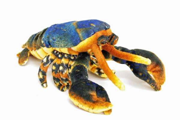 lobster cuddly toy