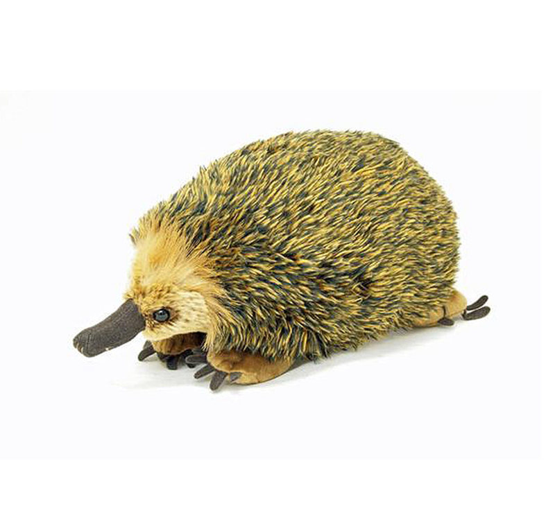 Echidna Lifelike Stuffed Animal 