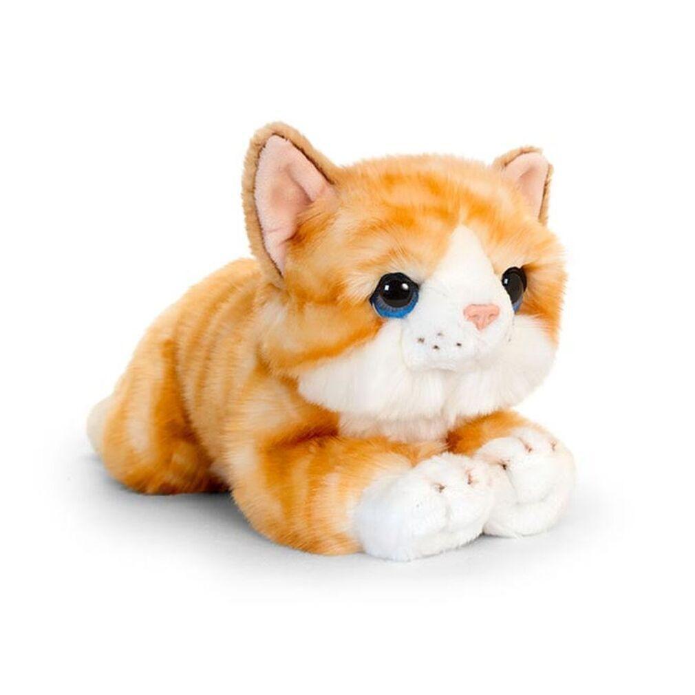 kitten cuddly toy