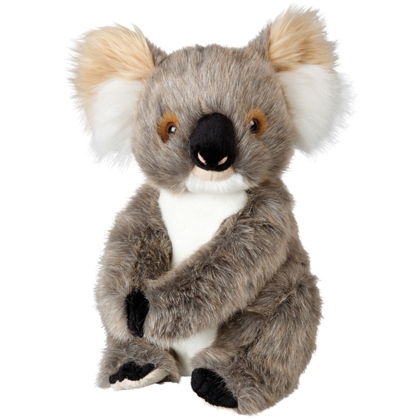 koala bear plush toy