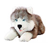 Marble Husky Puppy Bocchetta Plush Toys 