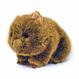 Wally the Wombat Soft Toy