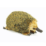 Eddie Echidna Lifelike Large - Korimco