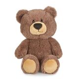 Pookie Bear Soft Toy