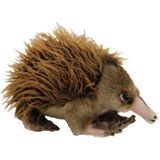 Ganyi the Echidna Soft Toy