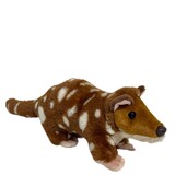 Quoll Chilpa - Elka