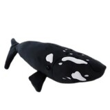 Southern Right Whale Eco - Elka Australia