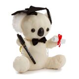 Signature Message Graduation Koala Bear W/Pen