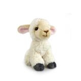 Lamb Soft Toy