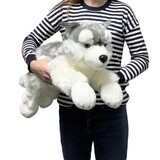 Extra Large Husky Dog Soft Toy - Lil Friends Korimco