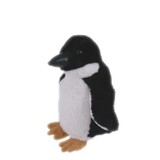 Little Fairy Penguin - Elka