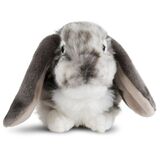Grey Dutch Lop Ear Rabbit Plush Toy  - Living Nature
