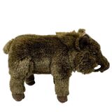 Wild Boar Plush Toy - Living Nature