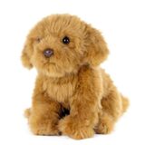 Cavapoo Dog Plush Toy  - Living Nature