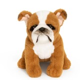 English Bulldog Super Soft Plush Toy  - Living Nature
