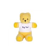 Play School Big Ted Plush Toy  Beanie ABC Kids