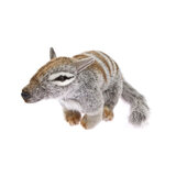 Sherbet the Numbat Plush Toy - Bocchetta