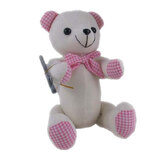Pink Gingham Signature Message Bear With Pen