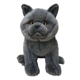 British Blue Cat - Faithful Friends