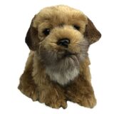 Border Terrier Dog  - Faithful Friends