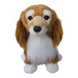 Dorgi Dog  - Faithful Friends