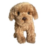 Cavapoo Brown Dog - Faithful Friends