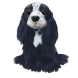 English Cocker Spaniel Blue Roan  - Faithful Friends