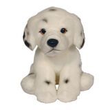 Dalmatian Dog  - Faithful Friends