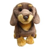 Dachshund Dog  (Choc & Red) - Faithful Friends