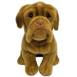 Dogue De Bordeaux Dog  - Faithful Friends