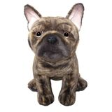 French Bulldog Brindle  - Faithful Friends