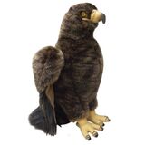 Golden Eagle  - Faithful Friends