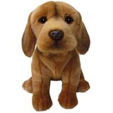 Hungarian Vizsla Dog - Faithful Friends