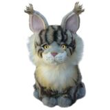 Maine Coon Grey Cat - Faithful Friends