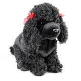 Poodle Black Dog - Faithful Friends