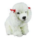 Poodle White Dog - Faithful Friends
