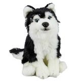 Siberian Husky Dog - Faithful Friends