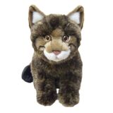 Scottish Wildcat - Faithful Friends