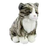 Cat Grey Tabby Sitting - Faithful Friends