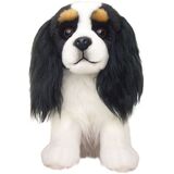 Cavalier Tricolour Dog - Faithful Friends