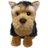 Yorkshire Terrier Dog - Faithful Friends