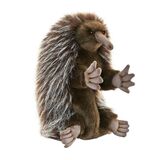 Echidna Hand Puppet - Hansa