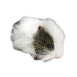 Guinea Pig Soft Toy (Grey and White)- Hansa