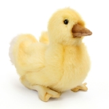 Duckling Soft Toy - Hansa