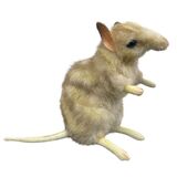 Eastern Barred Bandicoot Soft Toy - Hansa