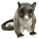 Possum Standing Soft Toy - Hansa